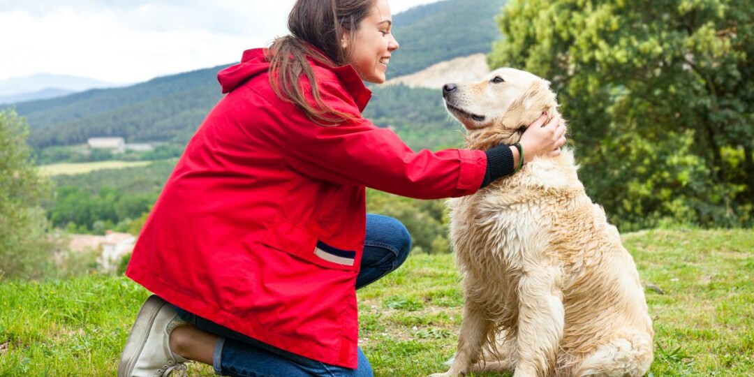 Хвалите свою собаку: как правильно это делать?