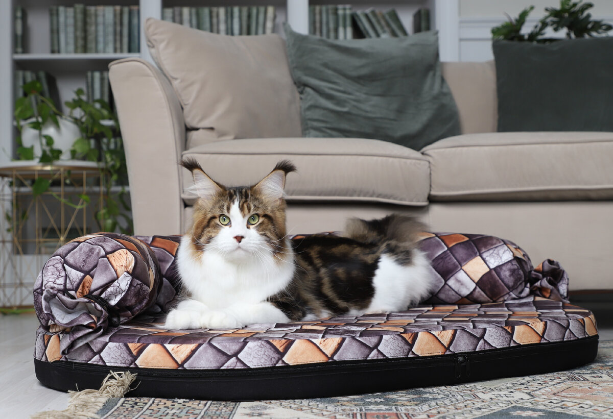 На фото — диван Gamma "Чемпион", M.