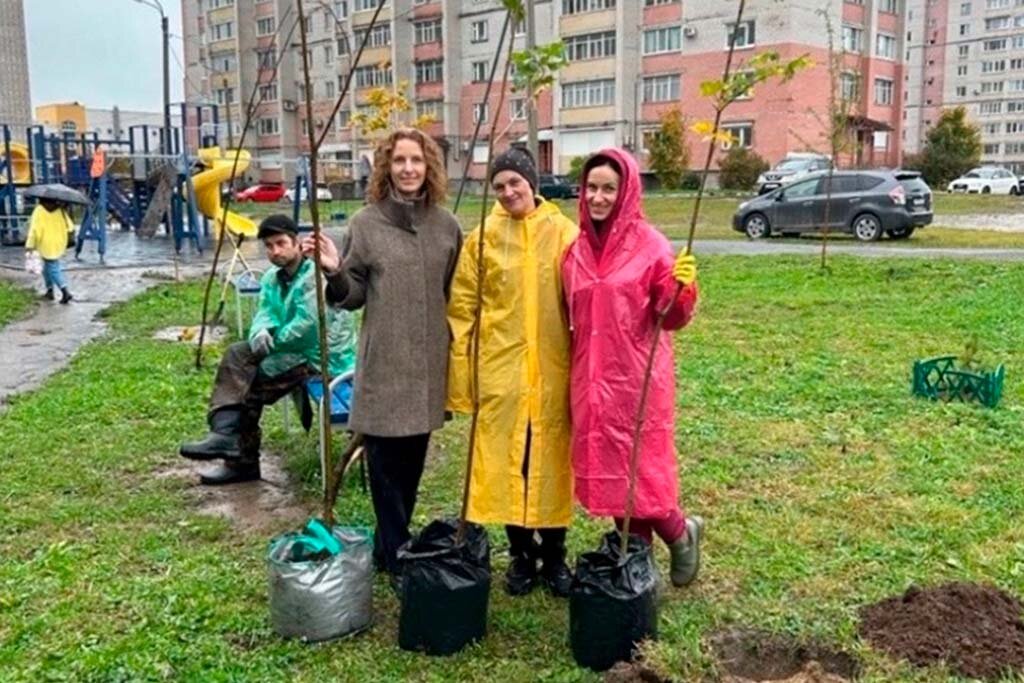    В сквере "Семья" у дома № 5 по улице Наседкина посадили два клена и липу.