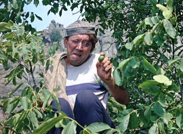 Кадры из к/ф "Кавказская пленница", фото взяты из открытых источников интернета