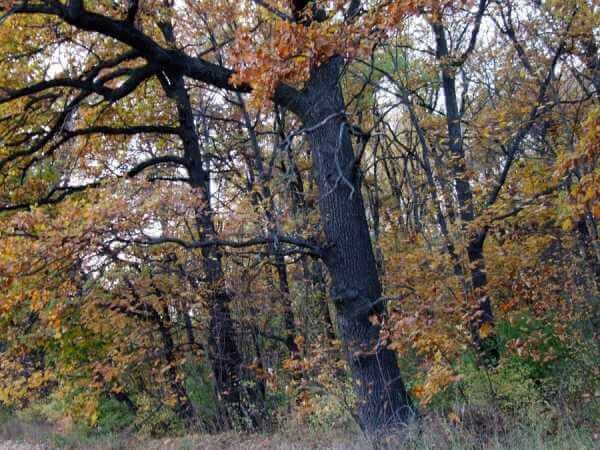    Фото: montegro.ru
