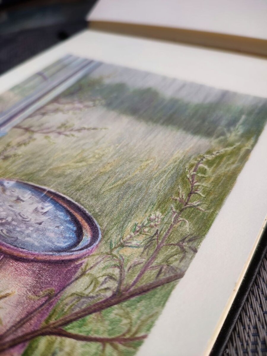 Цветные карандаши Finenolo