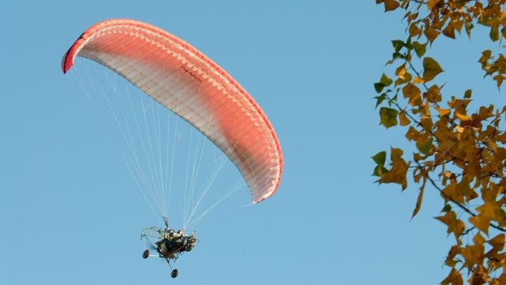 Фото: globallookpress.com / Svetlana Vozmilova