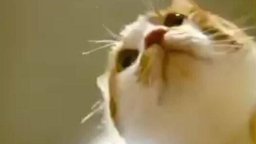 Школа плавания SwimRocket | Кто тут любит плавать в лопатках? | Дзен