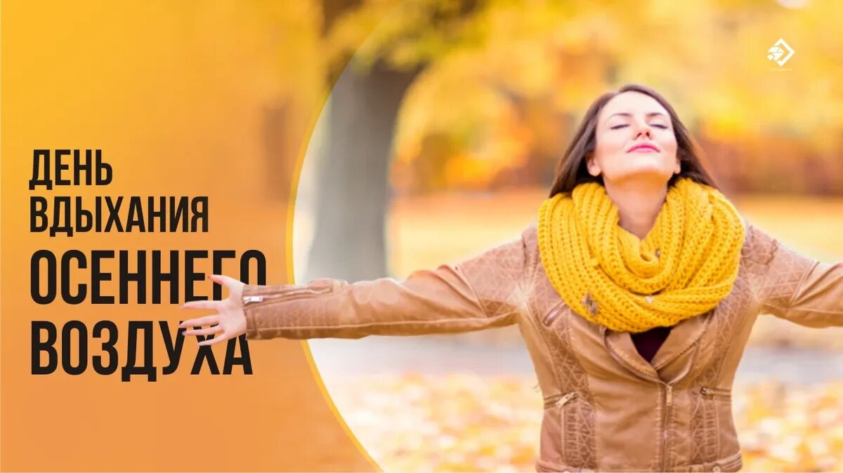 День вдыхания осеннего воздуха. Иллюстрация: «Курьер.Среда»