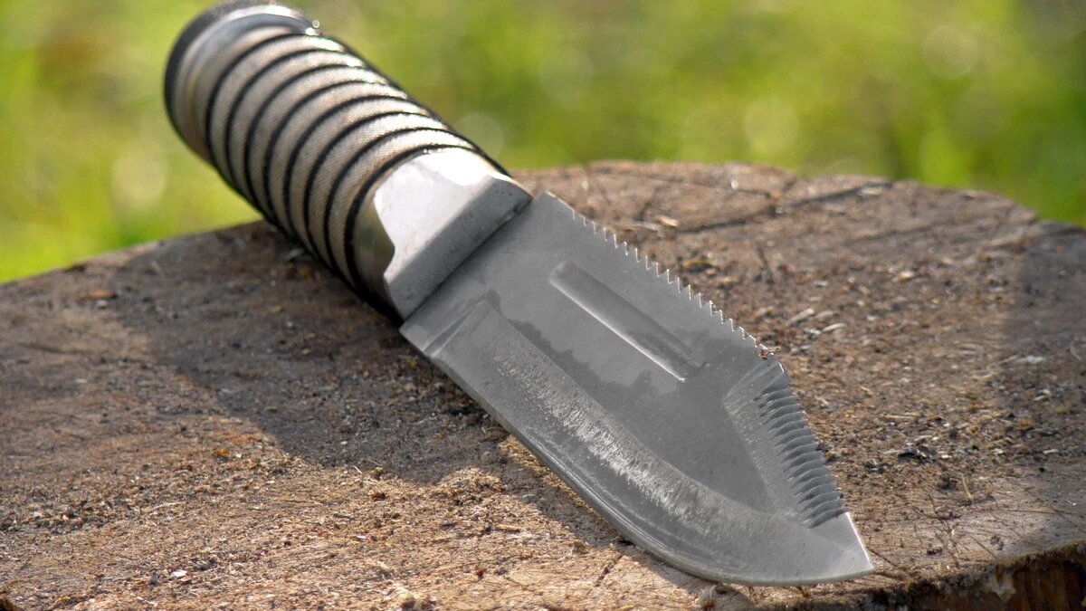 Фото: pxhere.com