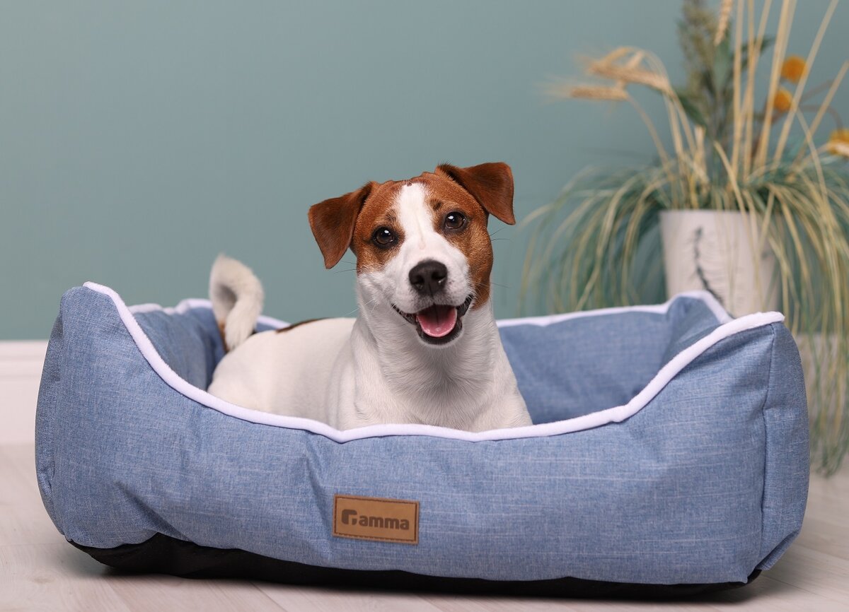 На фото — лежанка Gamma «Ялта», L.