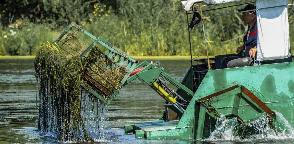 Фото: Вадим Ахметов/URA.RU/ТАСС