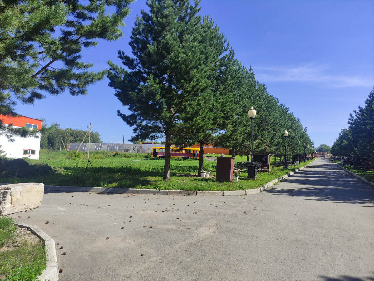 Аллея с могилами под соснами. 