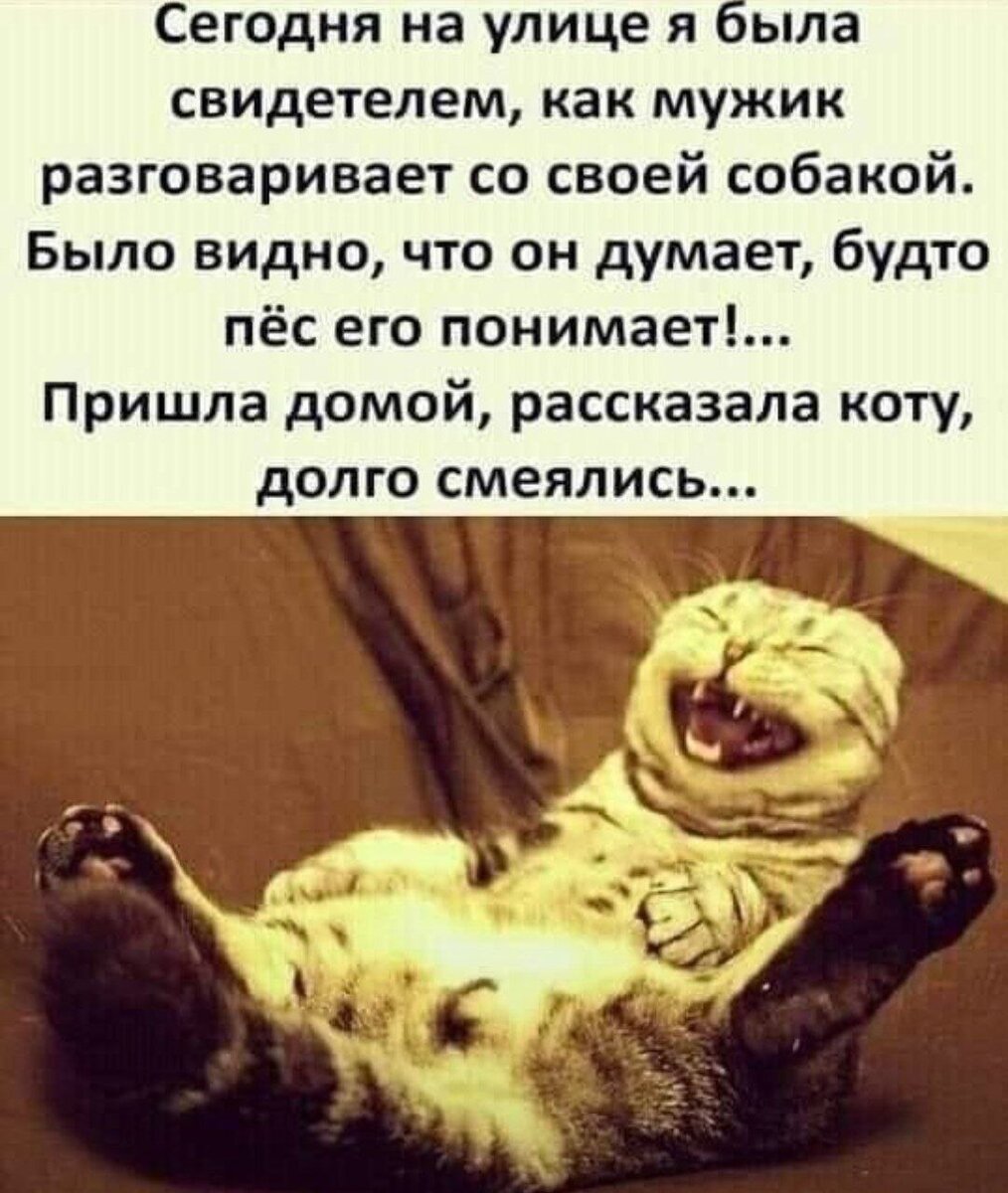 Вы что ,серьёзно? Вы дома с котом не говорите ? 