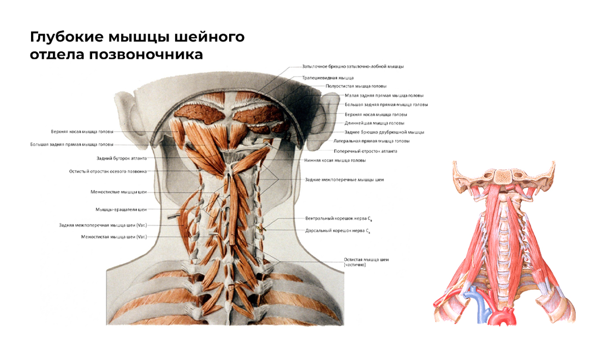 Лечебный массаж в Киеве