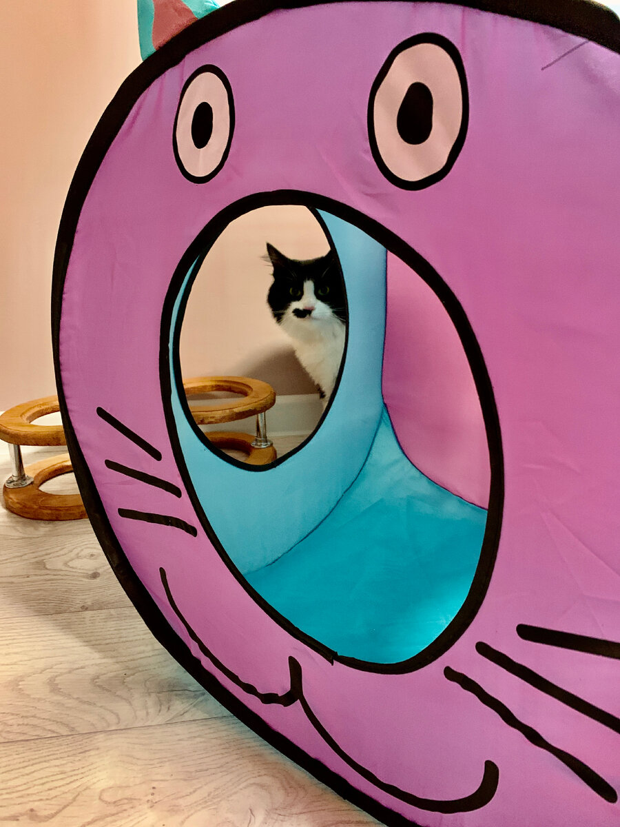 Дживс из Котолейки 