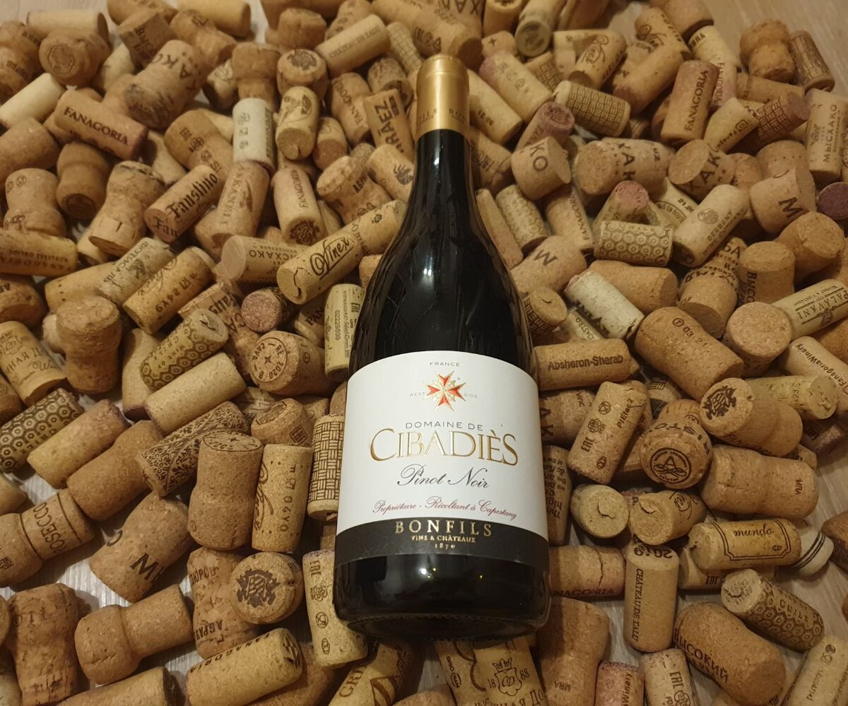 Domaine de Cibadies Pinot Noir