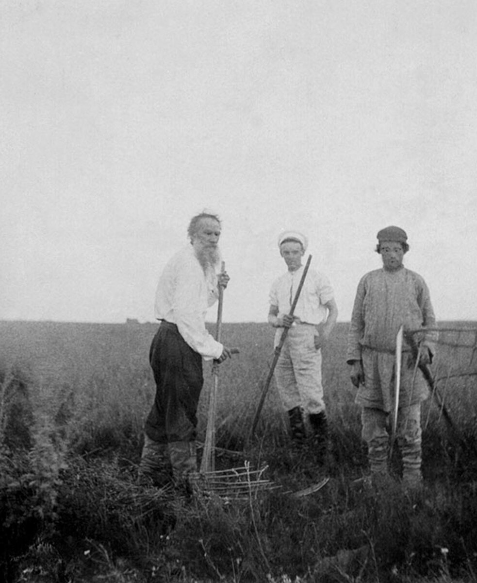 Лев Толстой на сенокосе