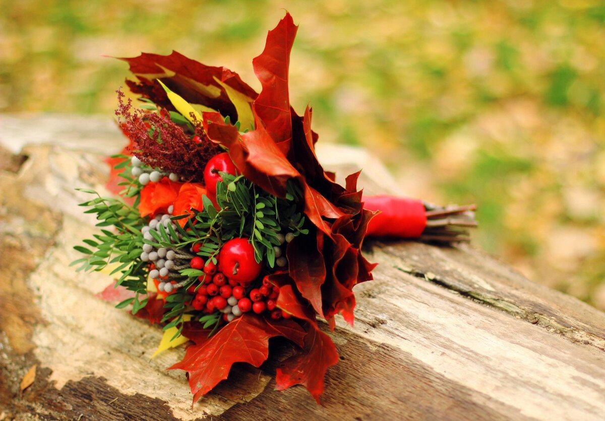 Фото взято из открытого источника