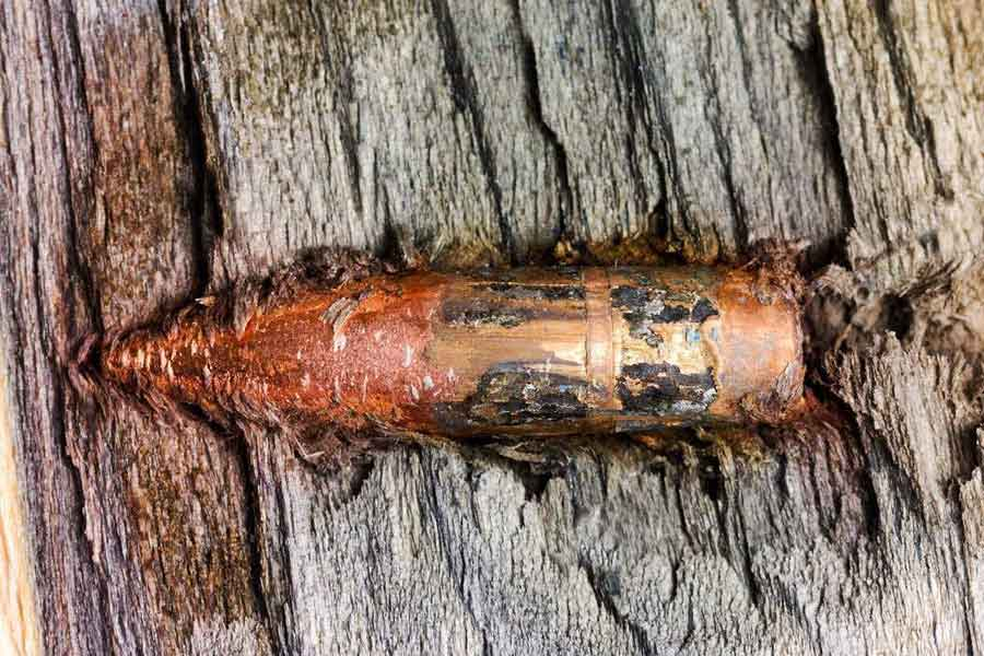 Картинка для привлечения внимания.