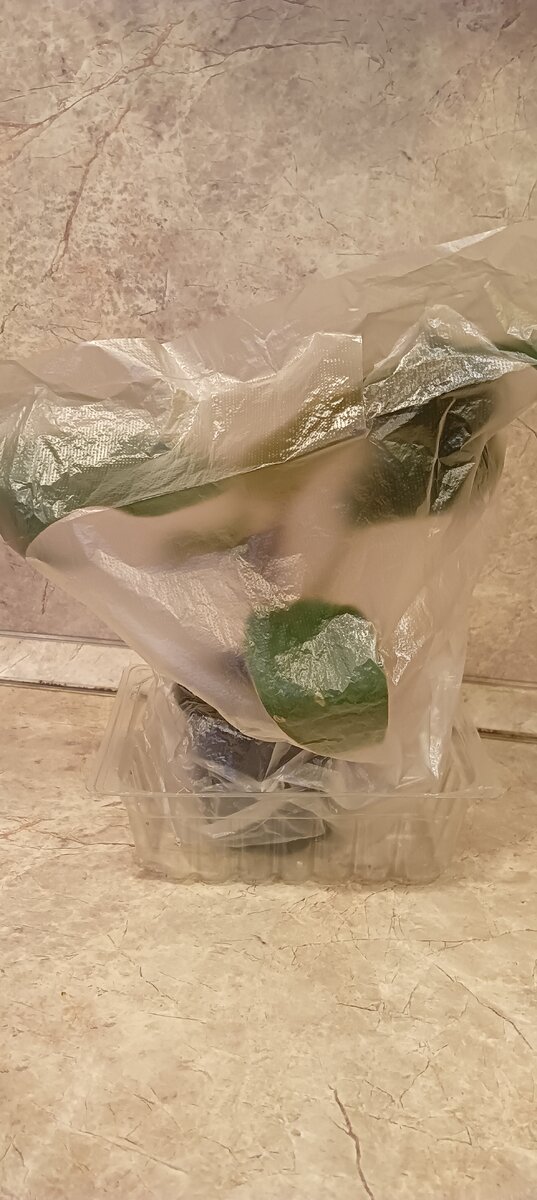 Фото САД В ЦВЕТАХ 