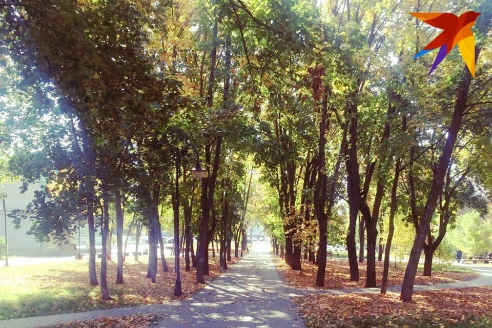    Гоголевский бульвар одно из самых известных мистических мест Ижевска. Фото: Дана Солнцева