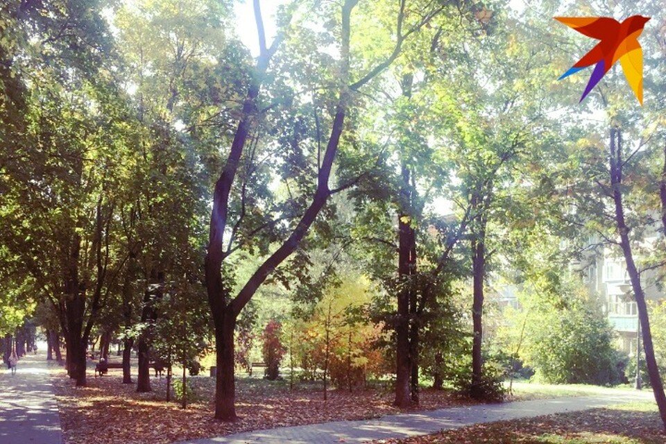    Летом жители города могут зарядится здесь позитивной энергией. Фото: Дана Солнцева