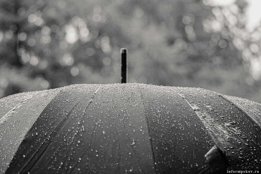 В Псковской области прогнозируются дожди. Фото: ПАИ