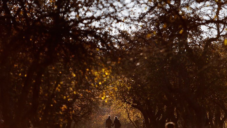 Источник: AP 2023