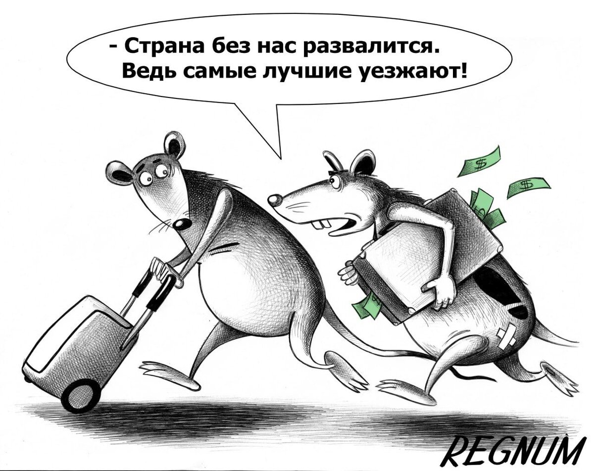    Сергей Корсун (с) ИА REGNUM