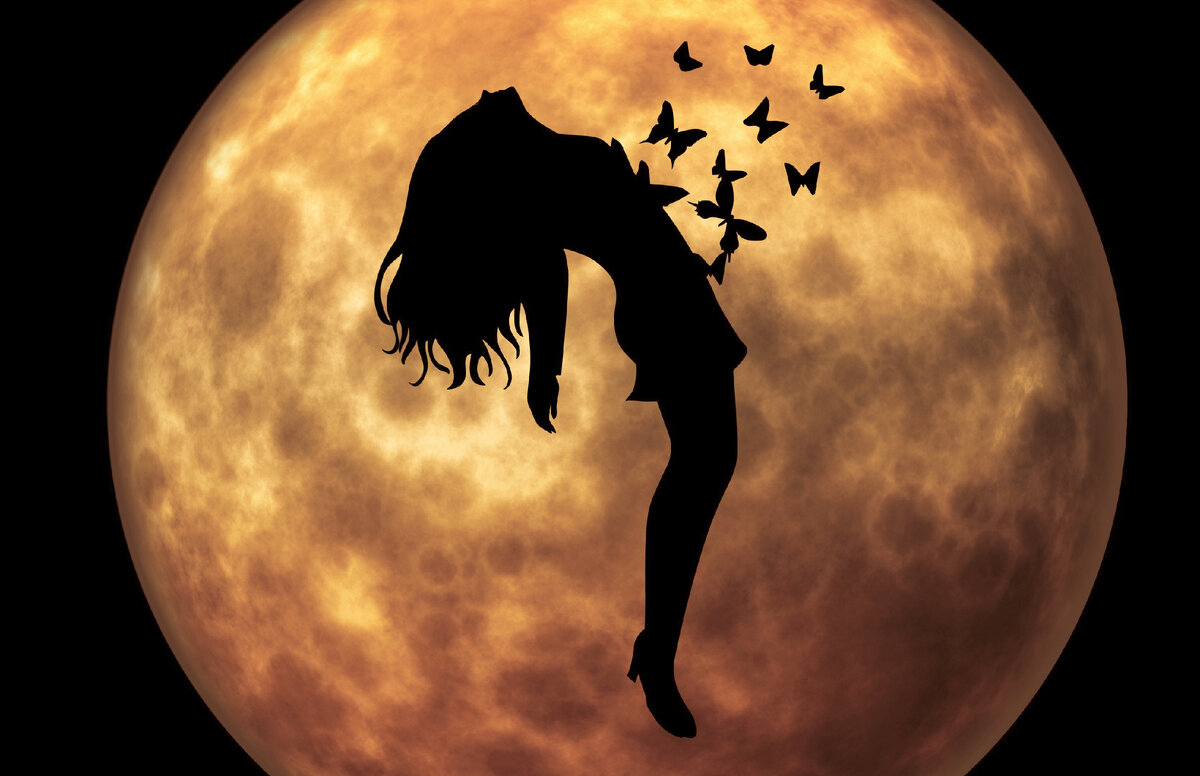 Фото из открытых источников