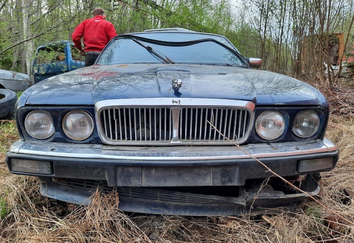 Из князи в грязи: как в карельском болоте догнивает редкий Jaguar XJ40... |  Лучшее из автомобильной истории | Дзен