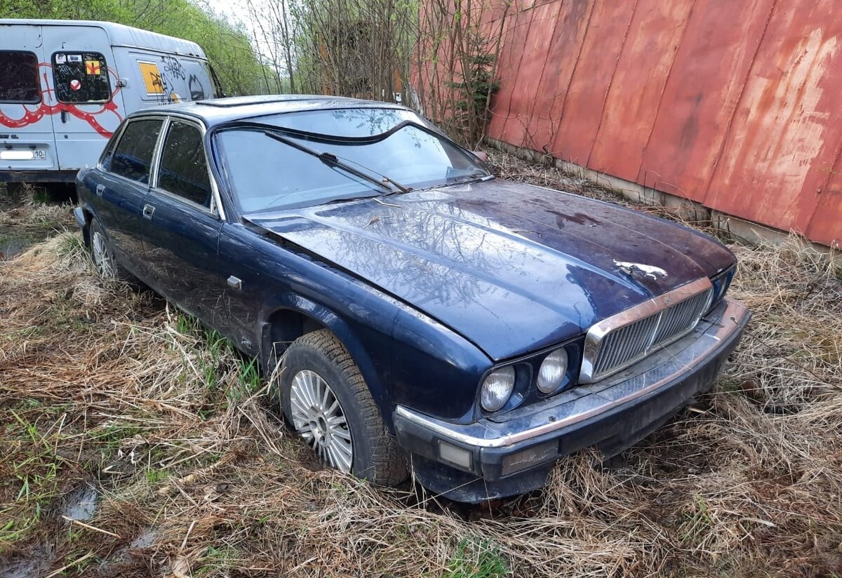 Из князи в грязи: как в карельском болоте догнивает редкий Jaguar XJ40... |  Лучшее из автомобильной истории | Дзен