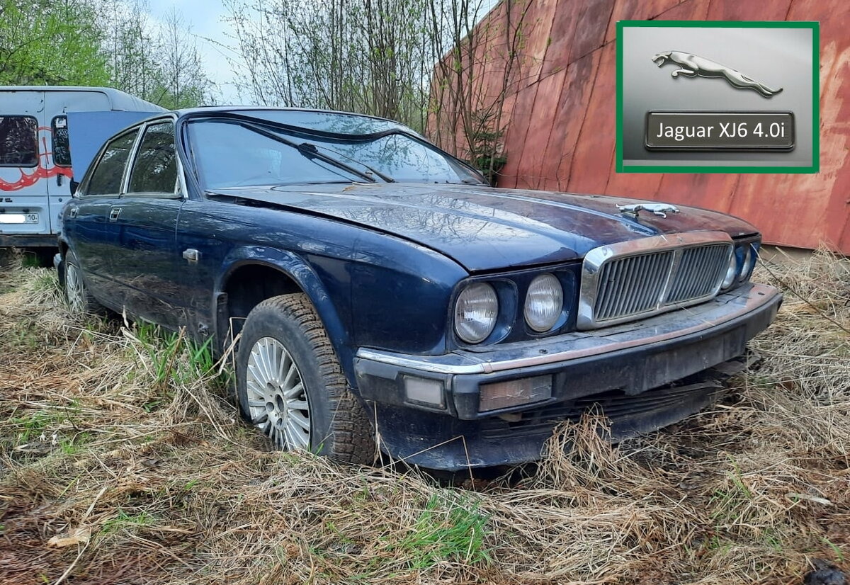 Из князи в грязи: как в карельском болоте догнивает редкий Jaguar XJ40... |  Лучшее из автомобильной истории | Дзен