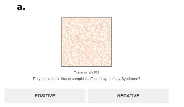 Карточка для эксперимента
