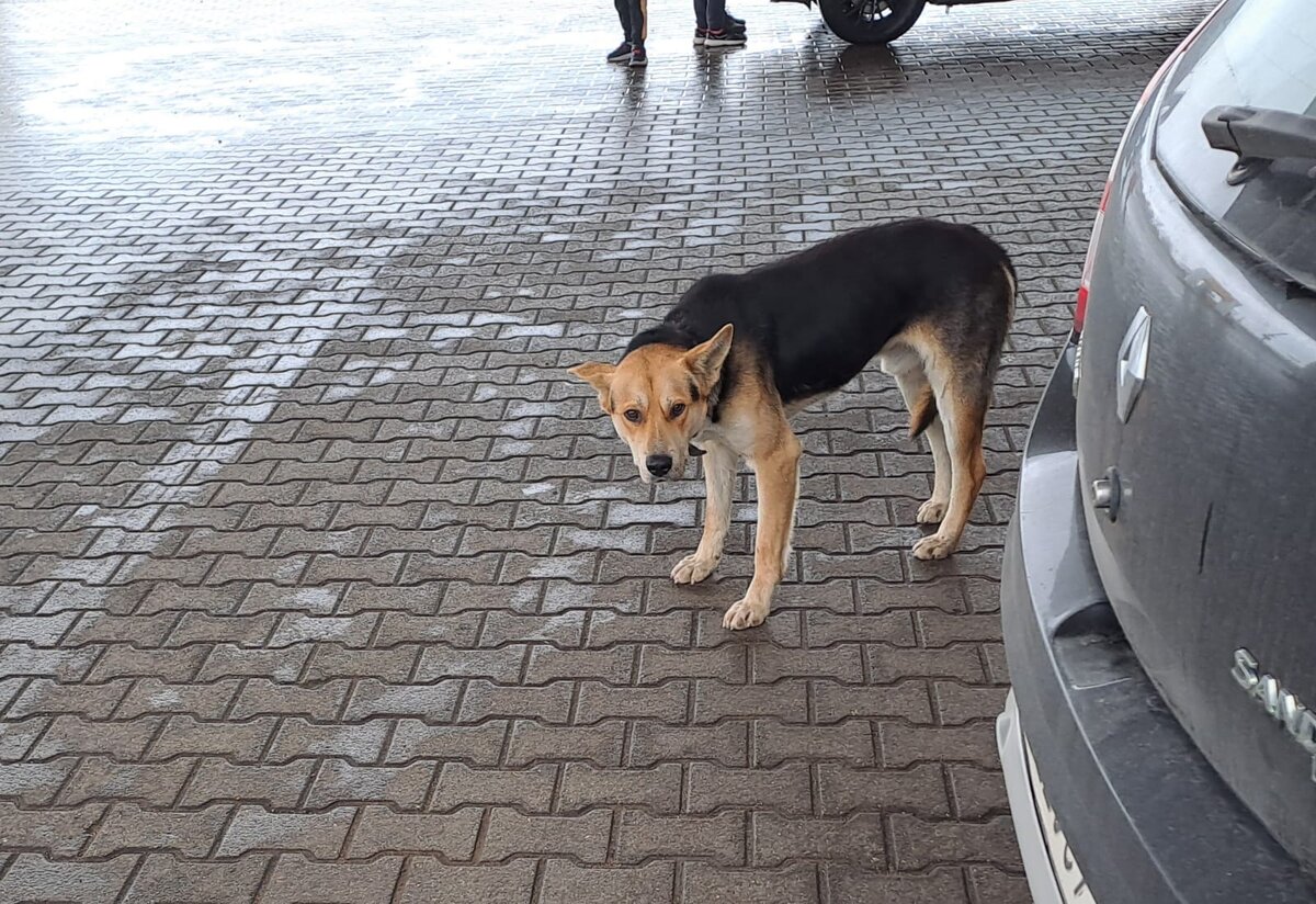 Надеюсь, ему полагается зарплата...