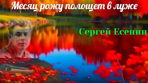 Урок-анализ стихотворения С. Есенина «Не бродить, не мять в кустах багряных...»