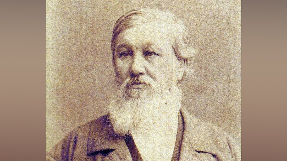 Данилевский Николай Яковлевич. Н. Я. Данилевский (1822–1885). Н Я Данилевский портрет. Николай Данилевский (1822-1885).