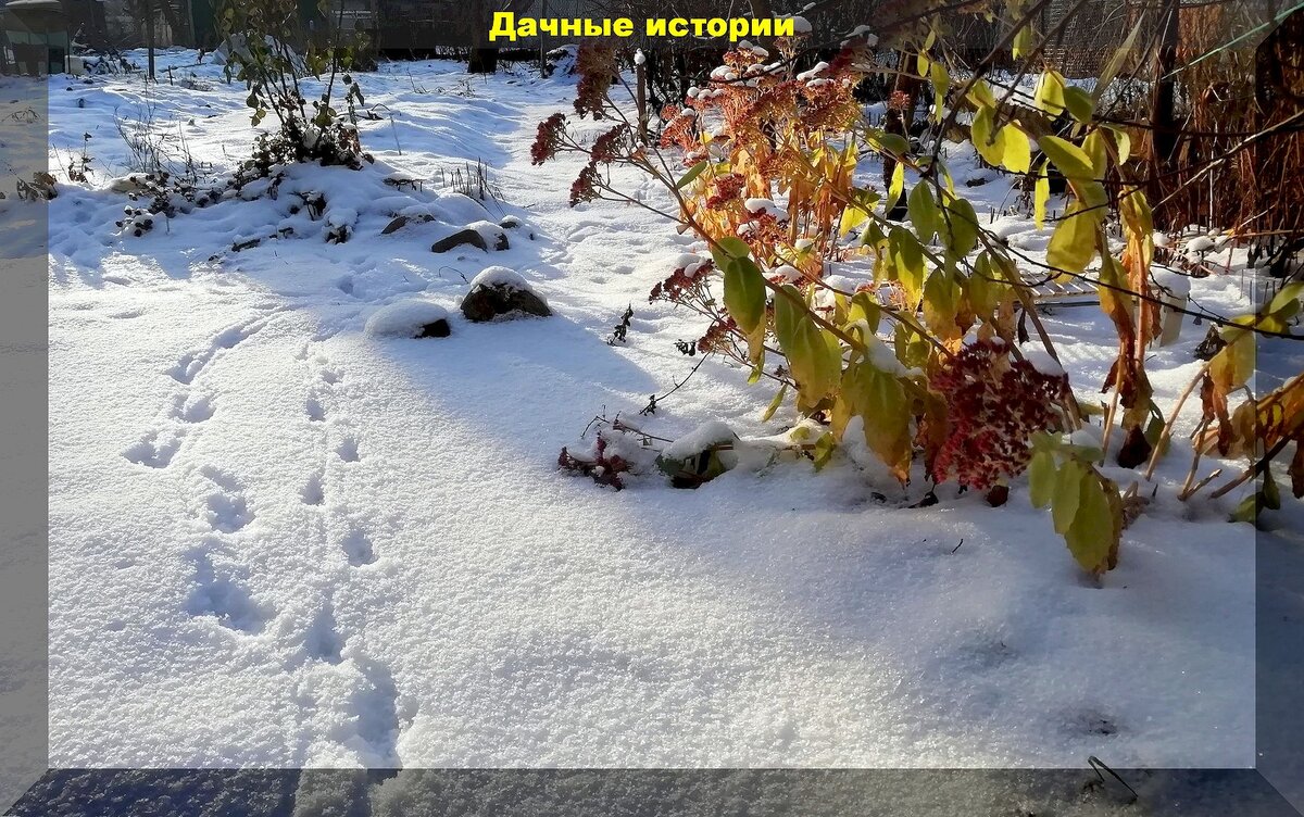 https://vk.com/photo-159774511_457262610