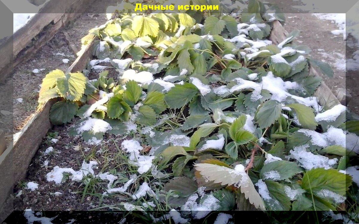 https://vk.com/photo-159774511_457262611