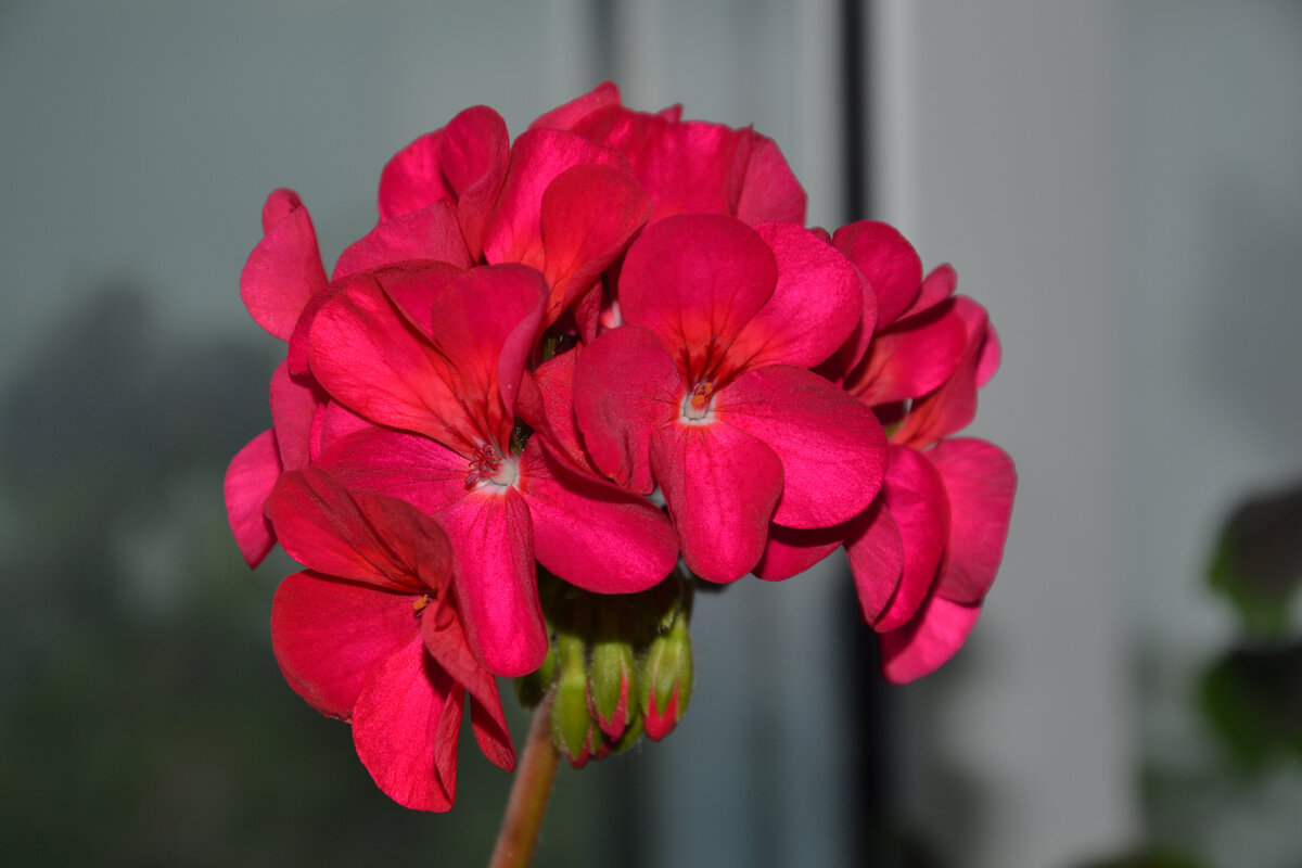 Фото из моего архива