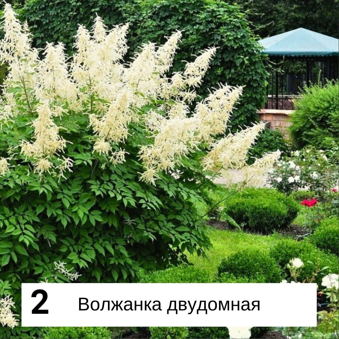 -2-2