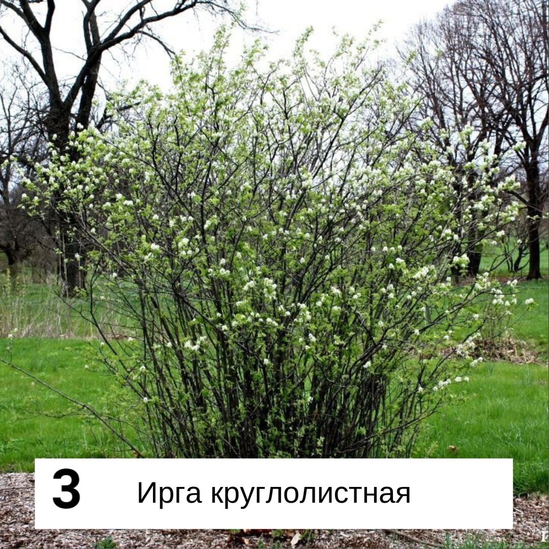 -2-3