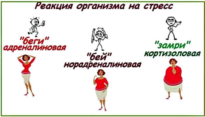 Реакция на стресс