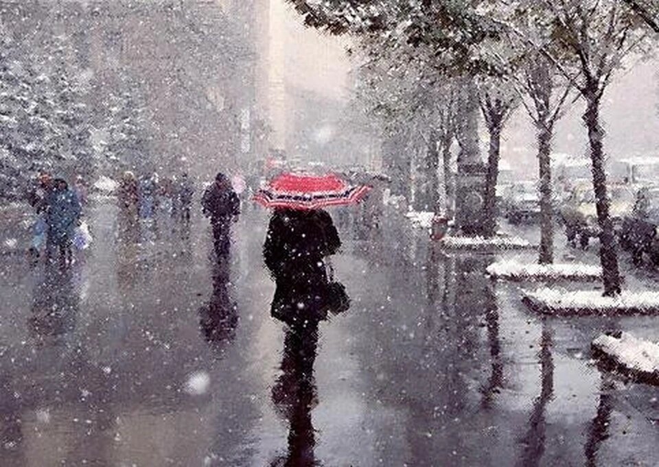 Фото с Яндекс картинок