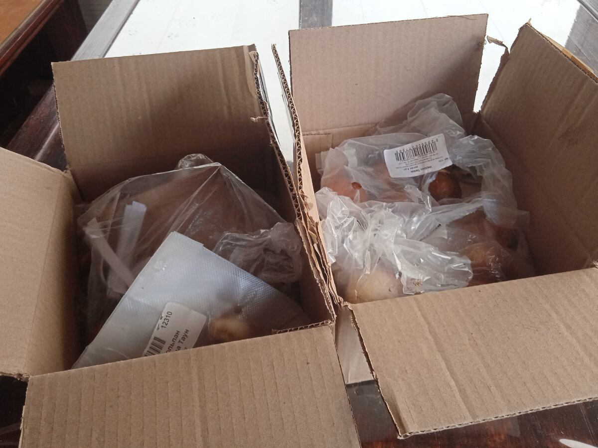 Долгожданная посылка 