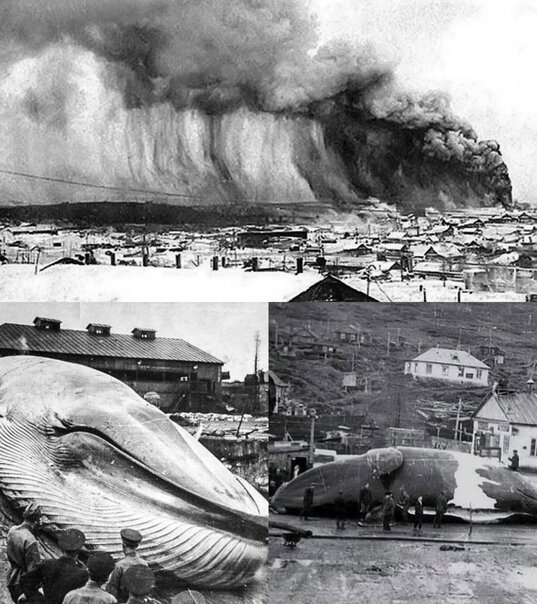 Масштабы стихийного бедствия ужасали, но за пределами Камчатки