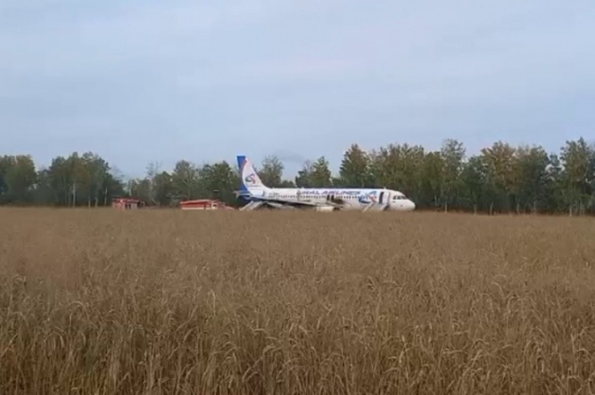    Опубликован разговор пилотов «Уральских авиалиний» перед посадкой в поле