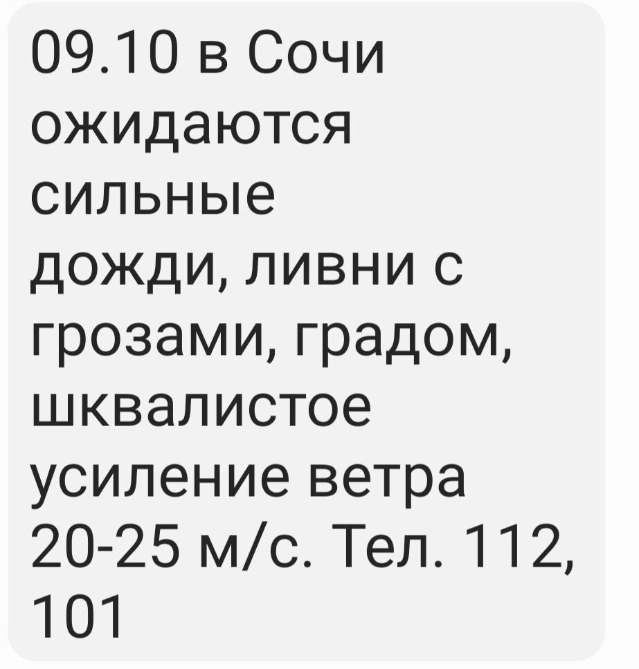 Грустный праздник и интересные наблюдения | Апельсинка от Осинки | Дзен