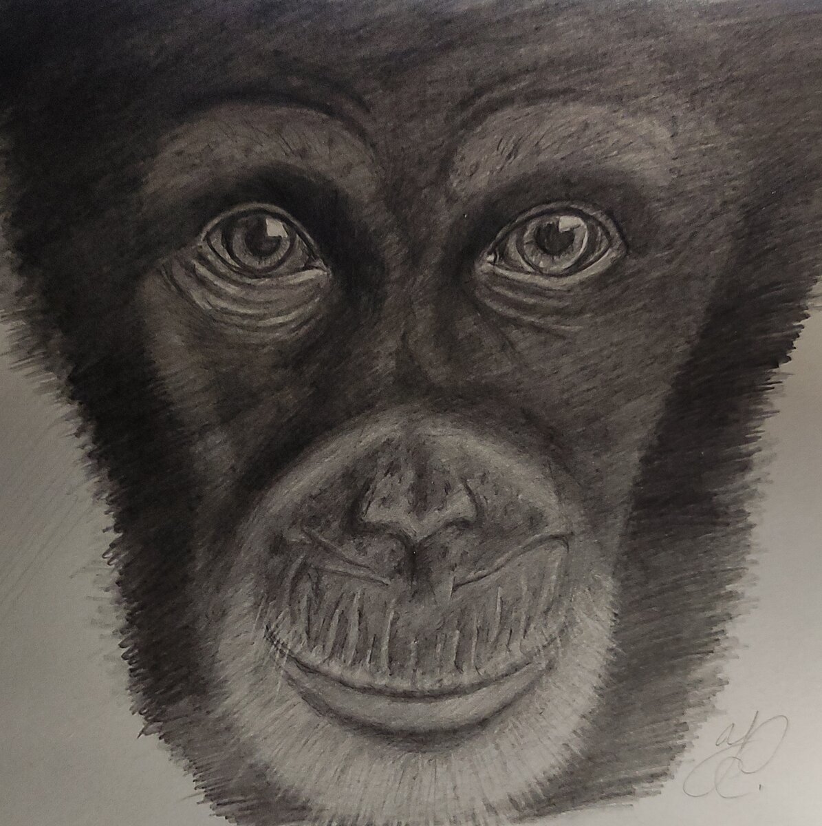 простой карандаш Елена К.