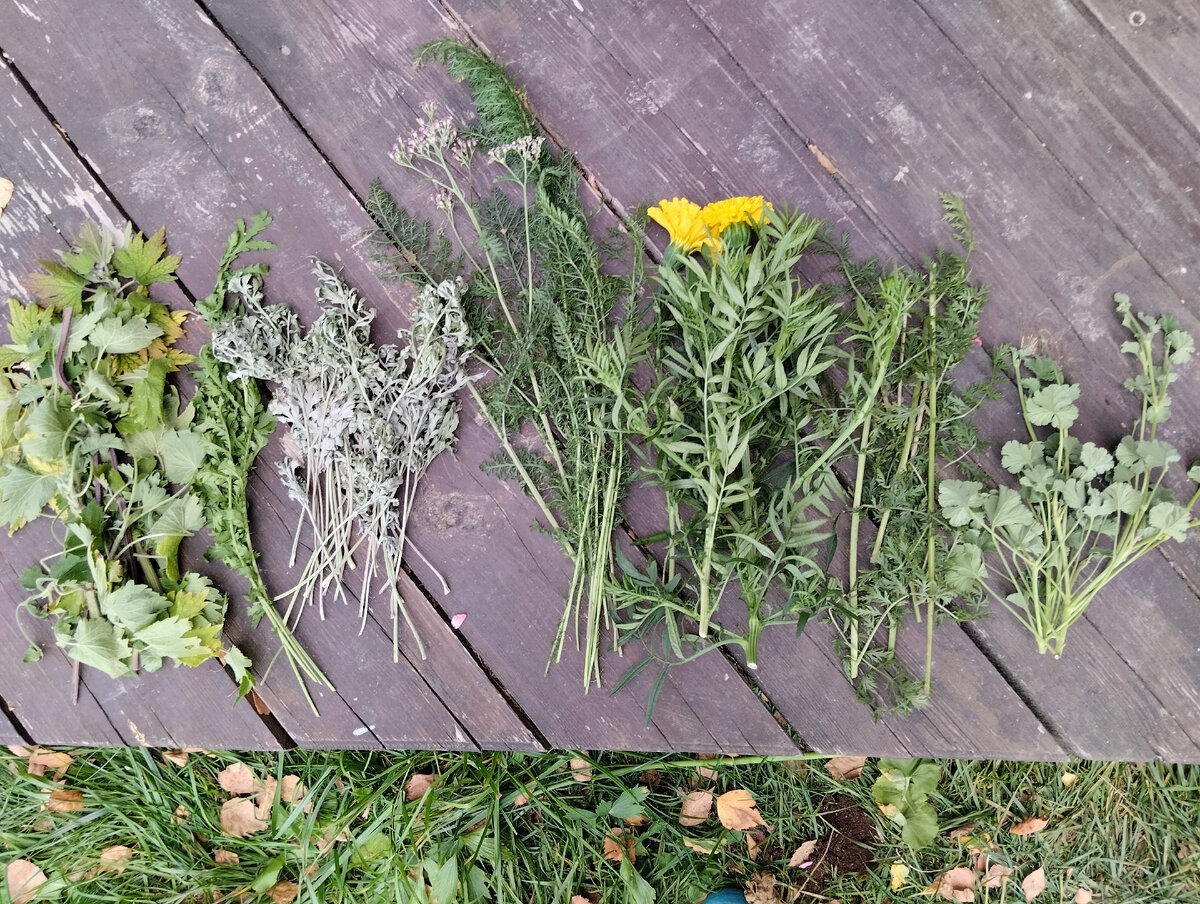 Мой банный сбор из горьких трав