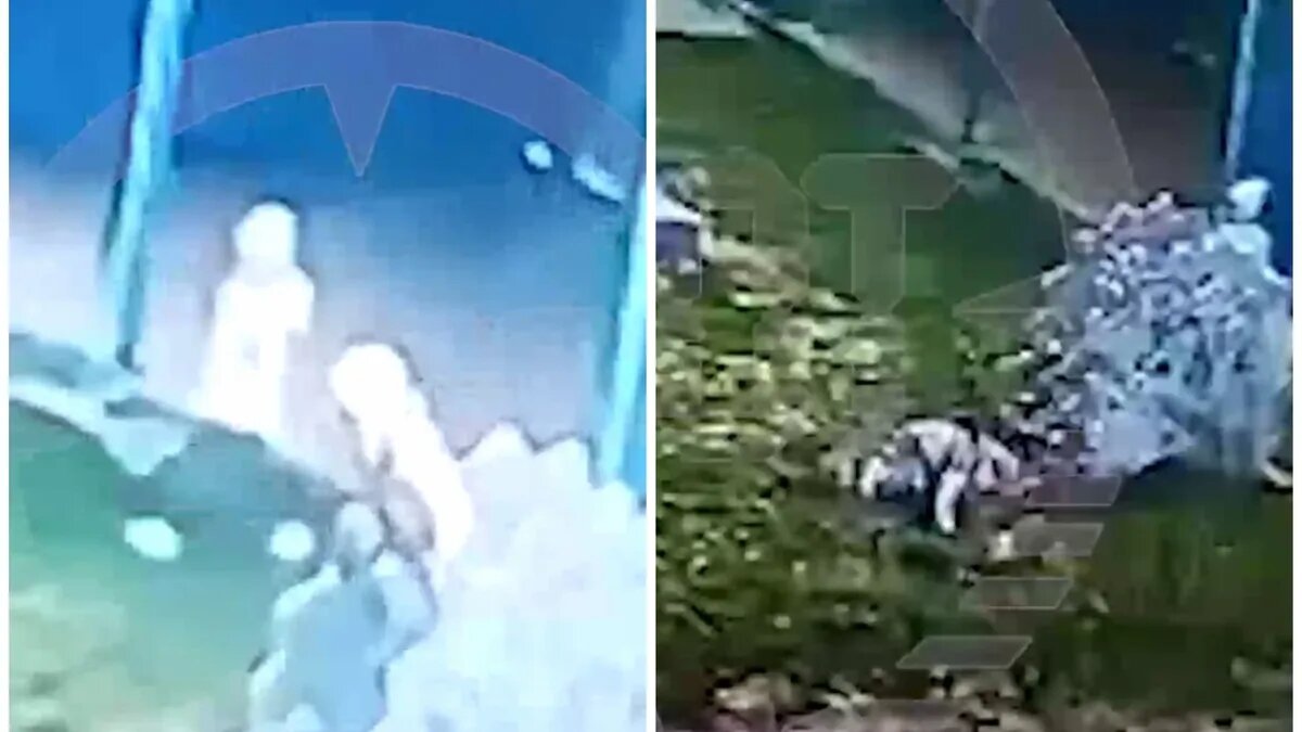 Фото: кадры из видео