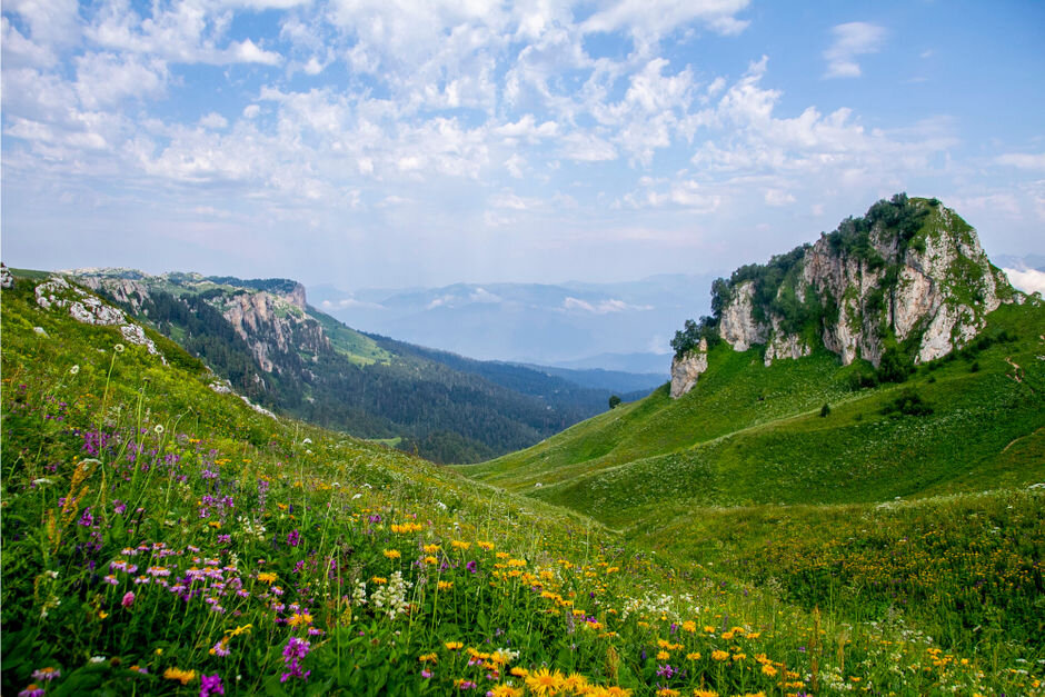 Адыгея это. Лагонаки ЮНЕСКО. Адыгея летом. Фото Адыгеи летом. Адыгея туры.