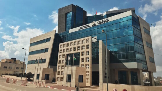    Палестина обвинила Израиль в использовании запрещенных фосфорных снарядов Анна Белая